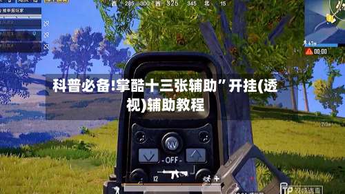 科普必备!掌酷十三张辅助”开挂(透视)辅助教程-第2张图片