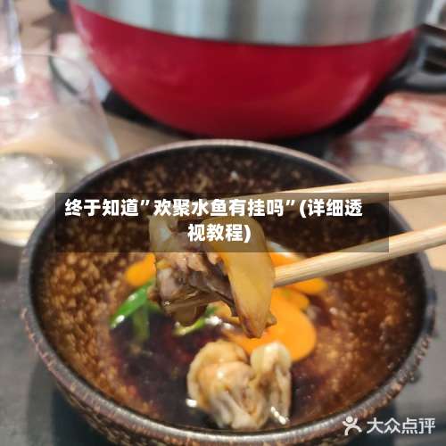 终于知道	”欢聚水鱼有挂吗”(详细透视教程)-第3张图片