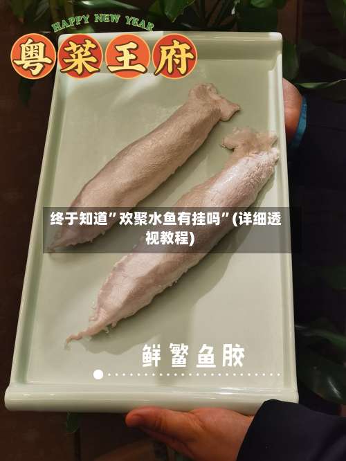 终于知道”欢聚水鱼有挂吗	”(详细透视教程)-第1张图片