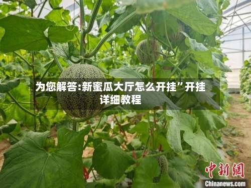 为您解答:新蜜瓜大厅怎么开挂”开挂详细教程-第1张图片