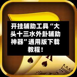 开挂辅助工具“大头十三水外卦辅助神器”通用版下载教程！-第2张图片