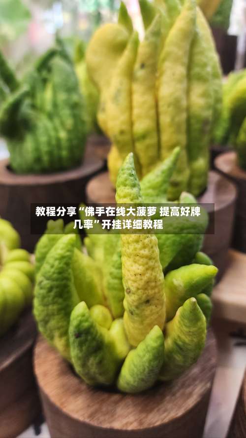 教程分享“佛手在线大菠萝 提高好牌几率	”开挂详细教程-第1张图片