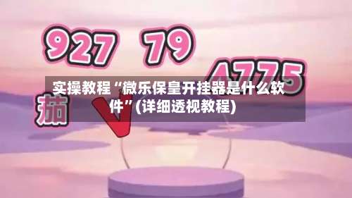 实操教程“微乐保皇开挂器是什么软件	”(详细透视教程)-第1张图片