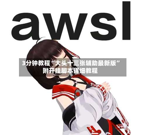 3分钟教程“大头十三张辅助最新版”附开挂脚本详细教程-第2张图片